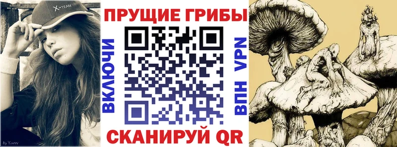 Псилоцибиновые грибы Magic Shrooms MEGA зеркало Полесск